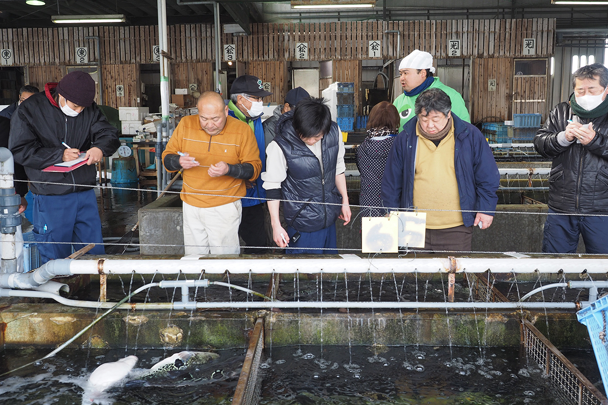 OCEAN BISTRO 旬の食材 とらふぐ セリ